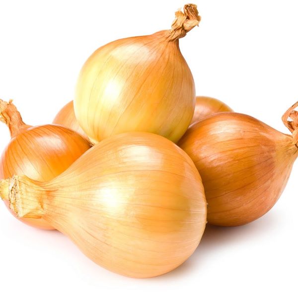Cooking Onions-1x24kg01